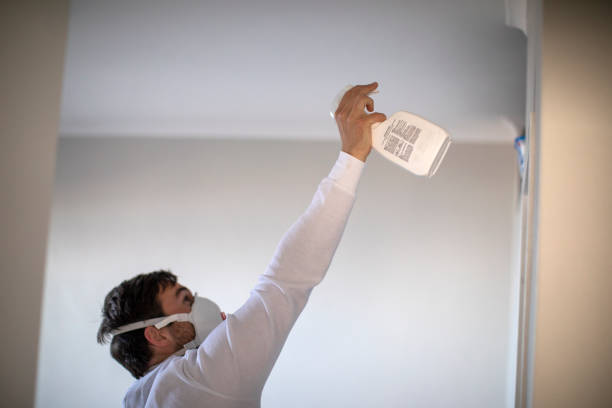 Best Mold Removal Company Near Me  in Boothwyn, PA