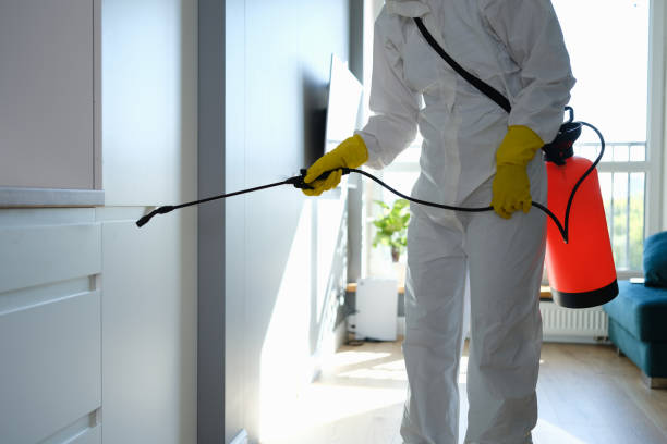 Professional Mold Removal in Boothwyn, PA